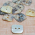 Button - Akoya Shell - Square 18mm